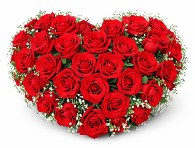 Bright Get Well Rose Bouquet